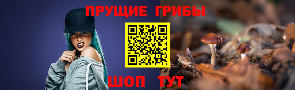 дарнет шоп  Псилоцибиновые грибы MAGIC MUSHROOMS  Вход с VPN  Протвино 
